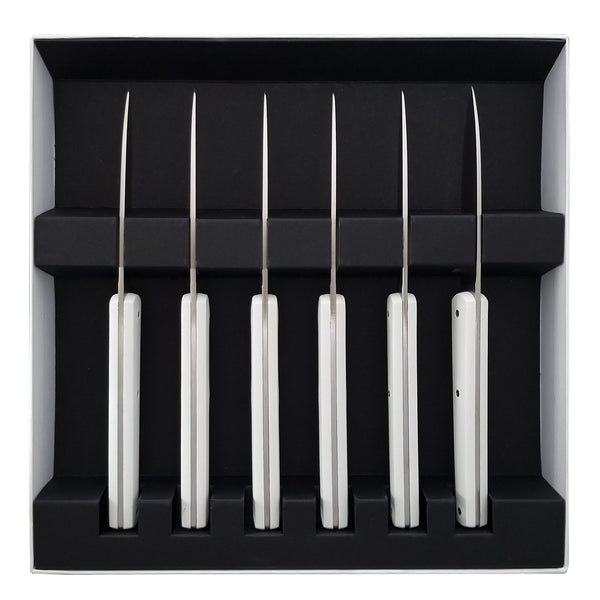 Guy Degrenne MIRAGE MIROIR BLANC Coffret 6 Couteaux à Steak