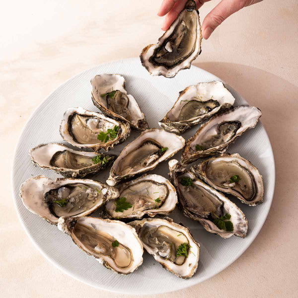 Guy Degrenne RIVAGE BLANC Assiette De Présentation 32cm