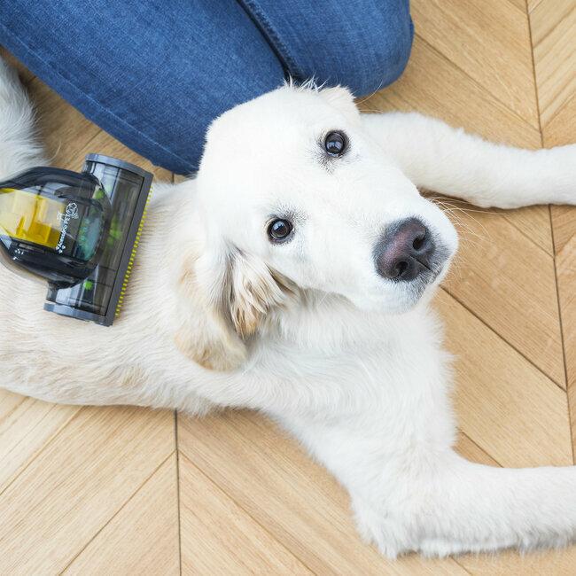 H.koenig Aspirateur Compact+ Cats & Dogs