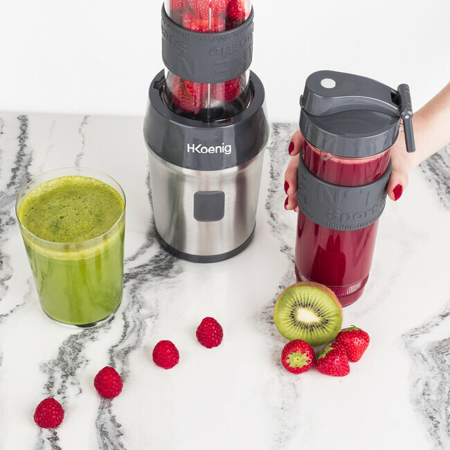 H.koenig Mini Blender