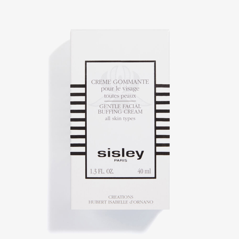 Hair Rituel By Sisley Crème Gommante Pour Le Visage 40 Ml