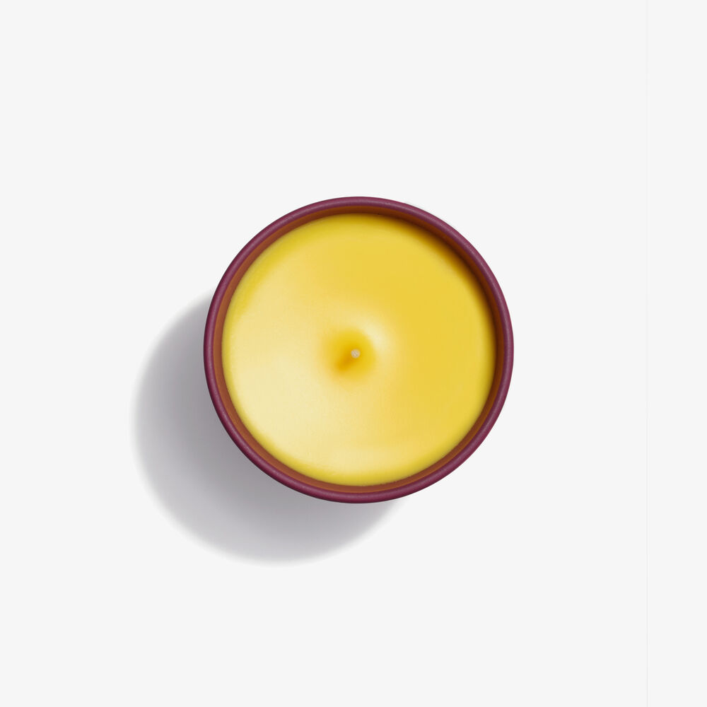Hair Rituel By Sisley Bougie Rose