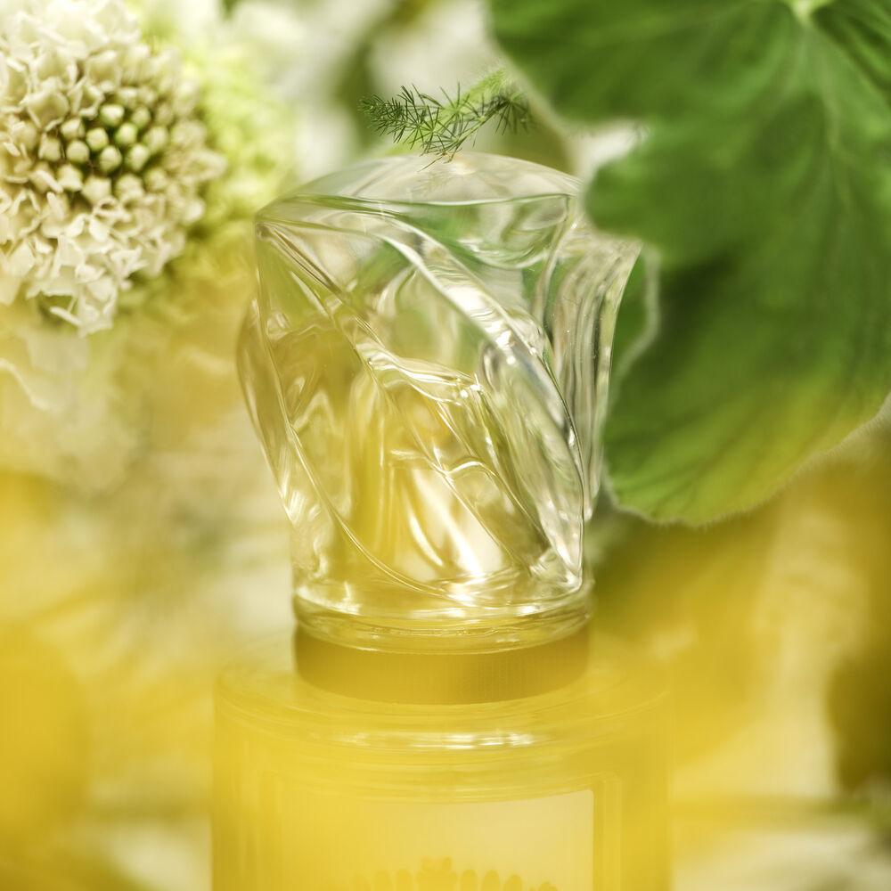Hair Rituel By Sisley L'Eau Rêvée D'Hubert 50ml