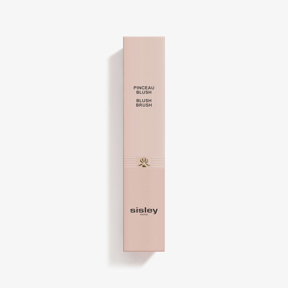 Hair Rituel By Sisley Pinceau Blush