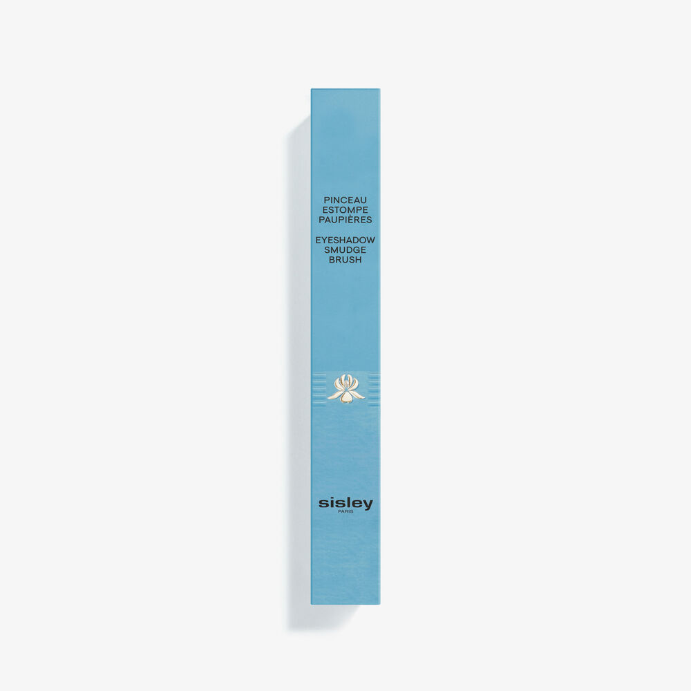 Hair Rituel By Sisley Pinceau Estompe
