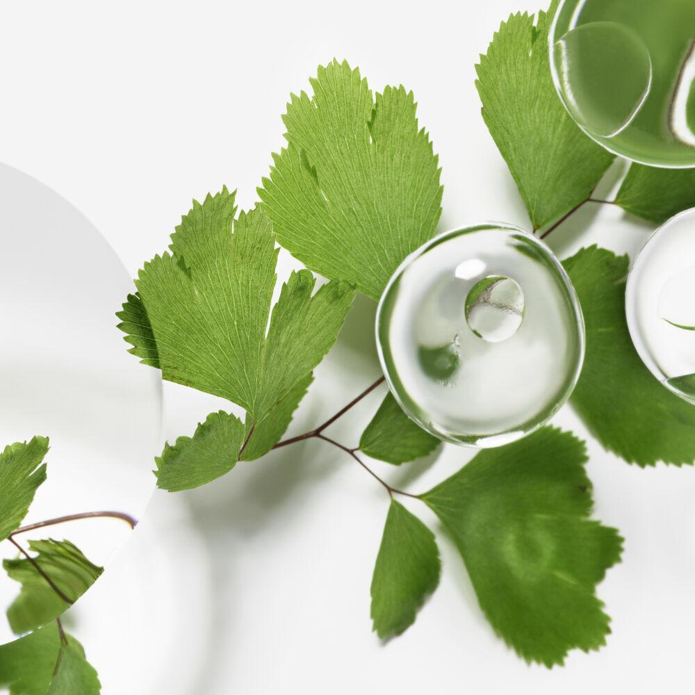 Hair Rituel By Sisley Programme Découverte Emulsion Ecologique Formule Avancée