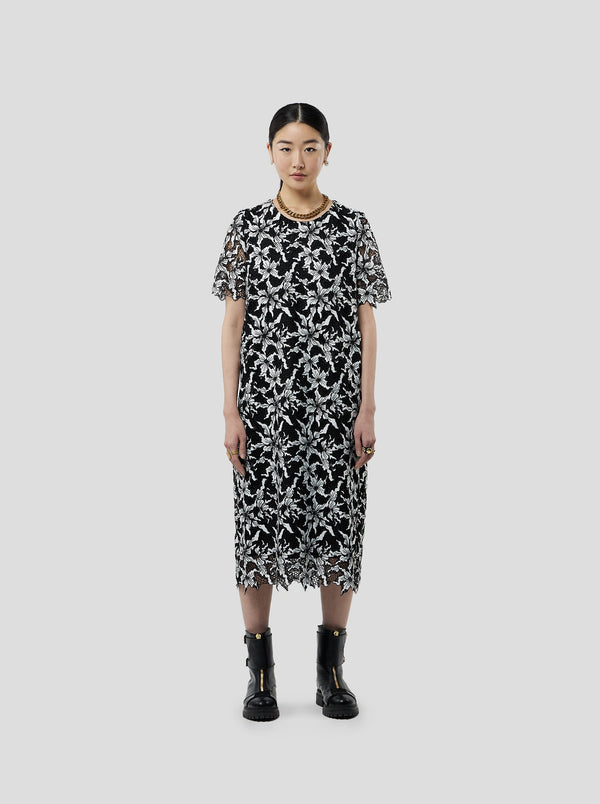 Heimstone Robe Marshall En Dentelle Beluga
