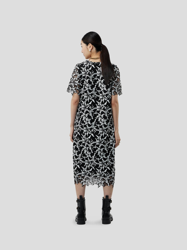 Heimstone Robe Marshall En Dentelle Beluga