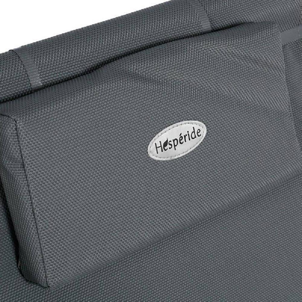 Hesperide Chilienne De Jardin HONOLULU Ardoise