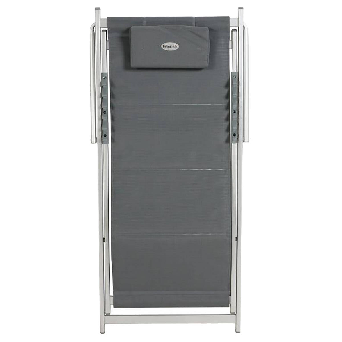 Hesperide Chilienne De Jardin HONOLULU Ardoise