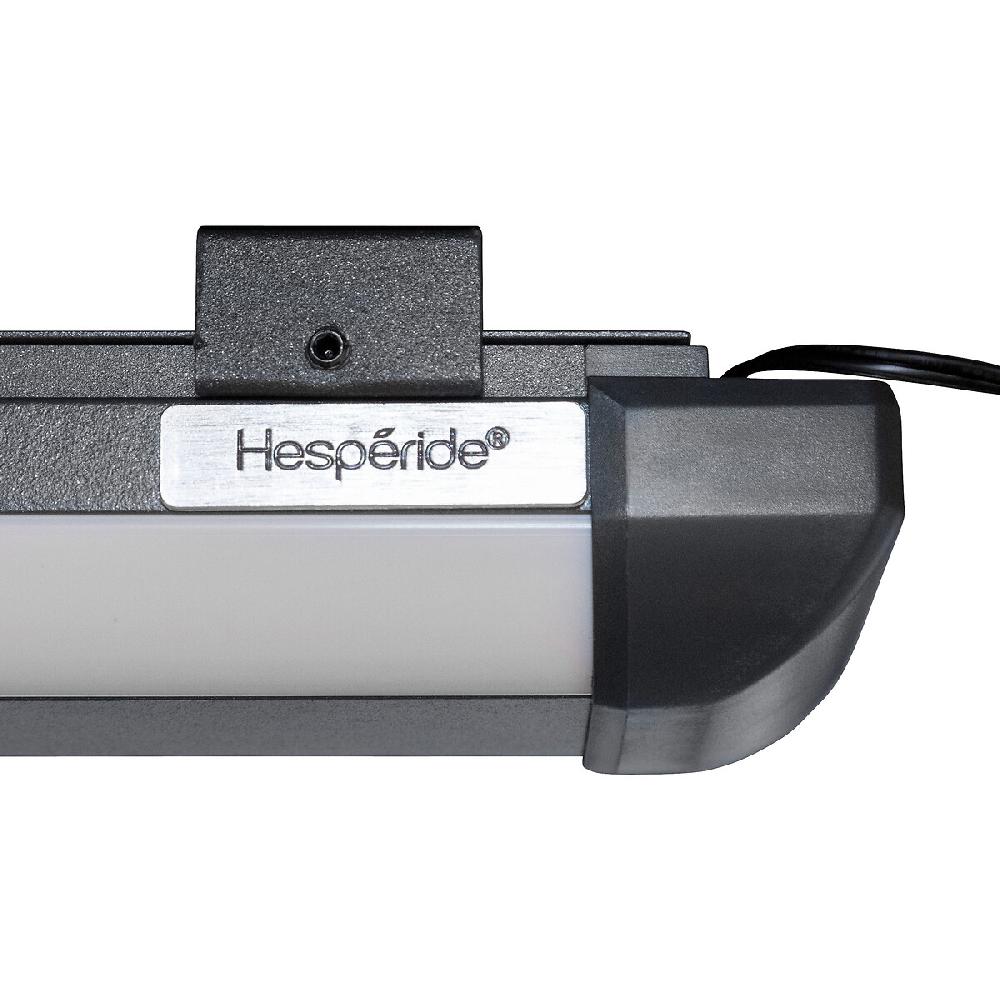 Hesperide Lampe Pour Tonnelle Et Pergola Gris