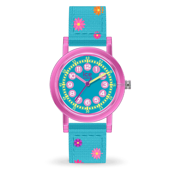 ice watch ICE learning