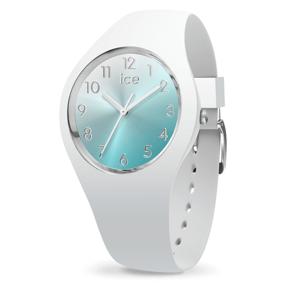 ice watch ICE sunset