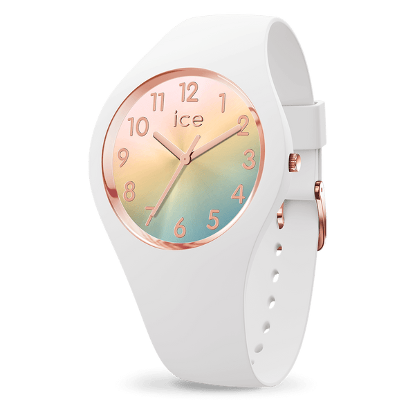 ice watch ICE sunset