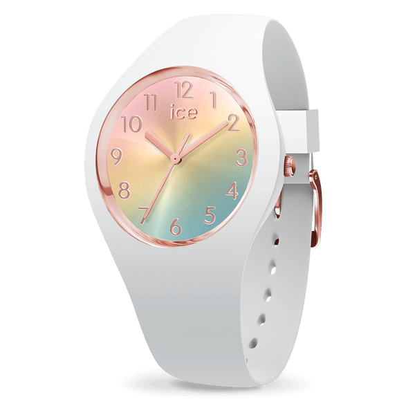 ice watch ICE sunset