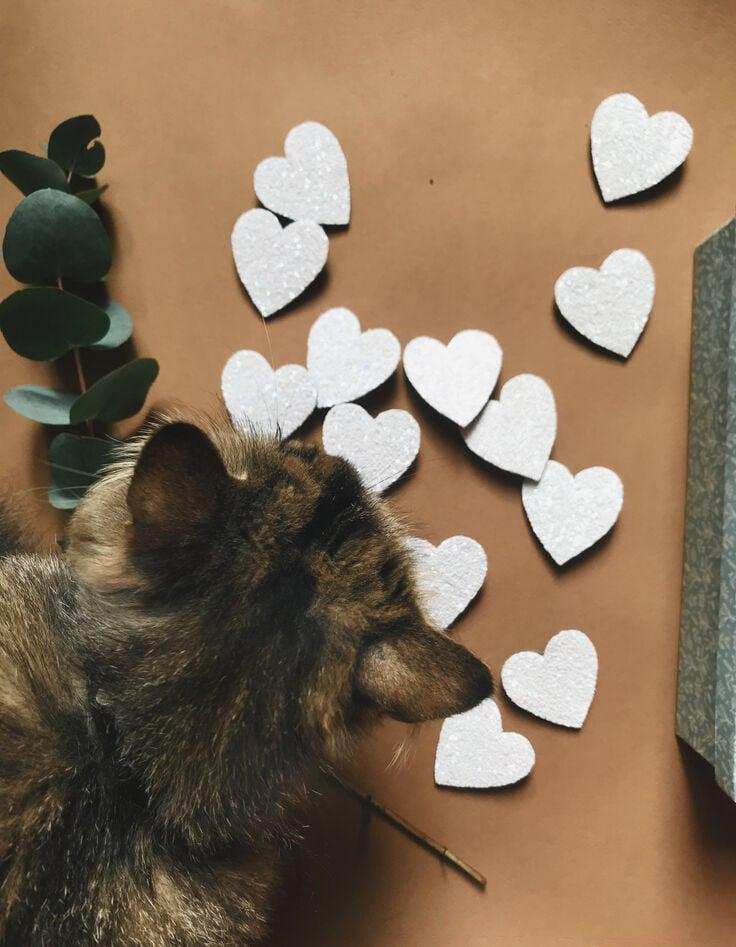 Ikks Broche Cœur Blanc Pailleté TENDRE CACTUS