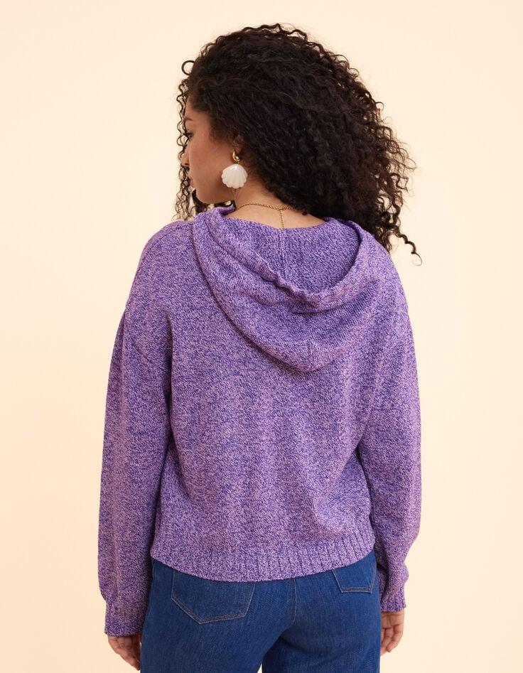 Ikks Pull à Capuche Parme Tricot Mouliné I.Code