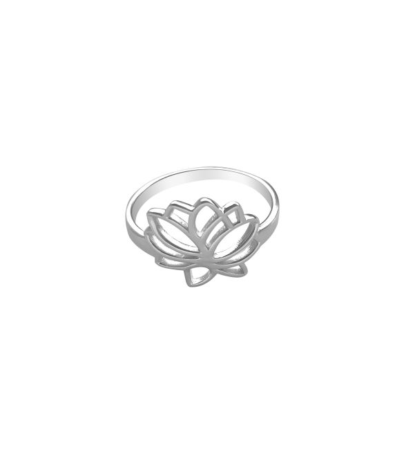 ikps bijoux Bague argent JHD135B