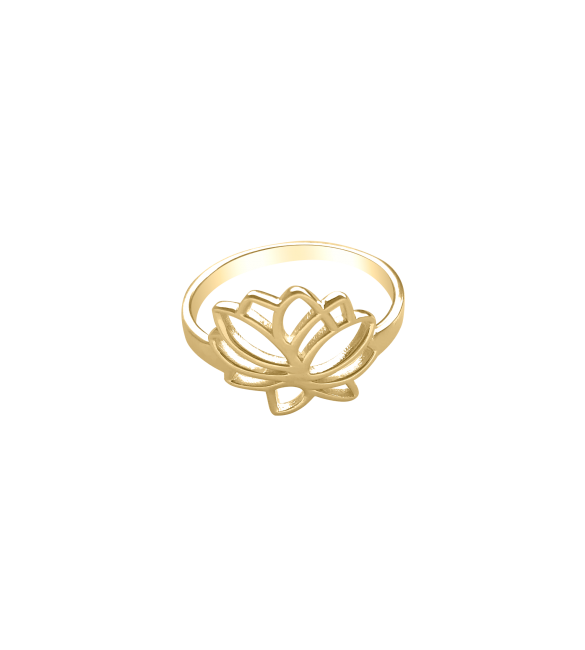 ikps bijoux Bague plaquée or JHD135B-1