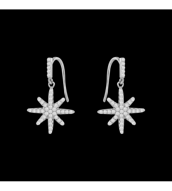 ikps bijoux Boucle d'oreille argent CHE071