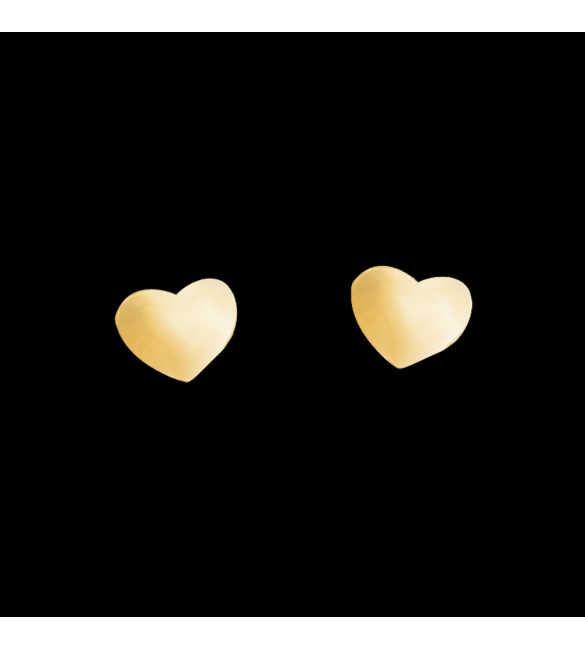 ikps bijoux Boucle d'Oreille Plaqué Or JME021-1