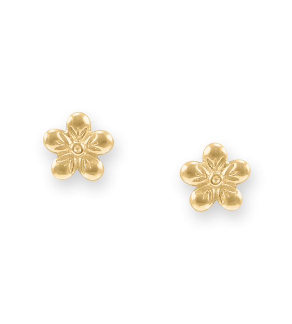 ikps bijoux Boucles d'oreilles EHD732T-1