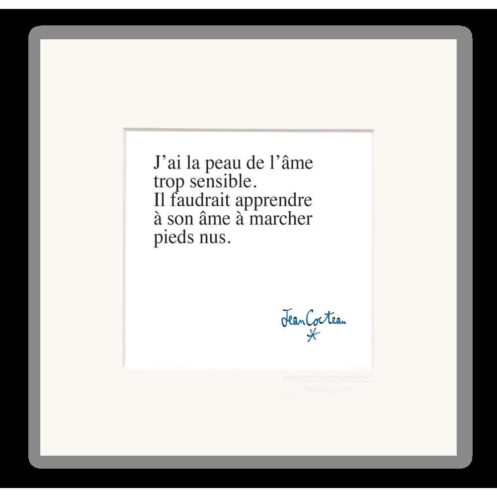 image republic 0001 J'AI LA PEAU DE L'AME TROP SENSIBLE