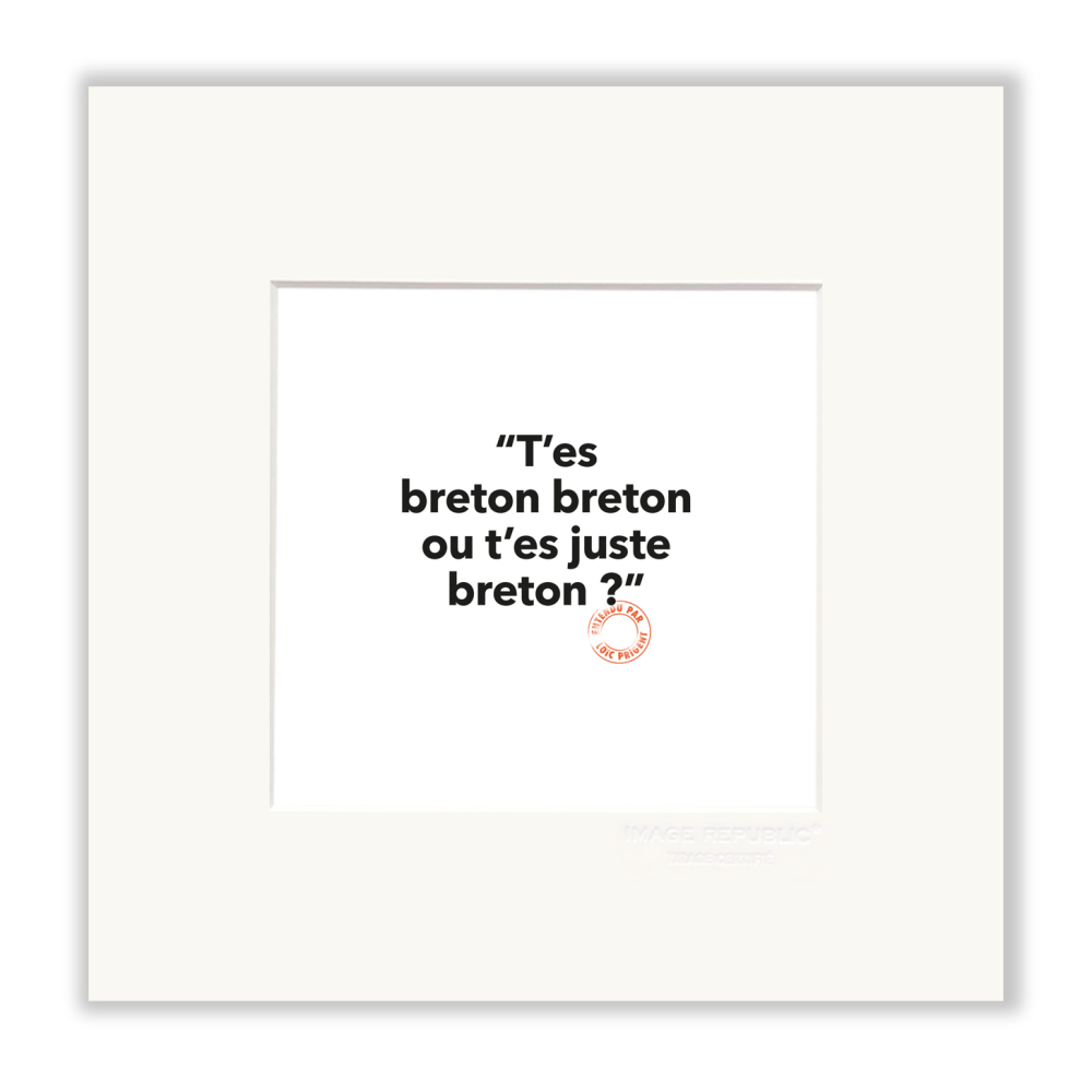 image republic 103 T’ES BRETON BRETON