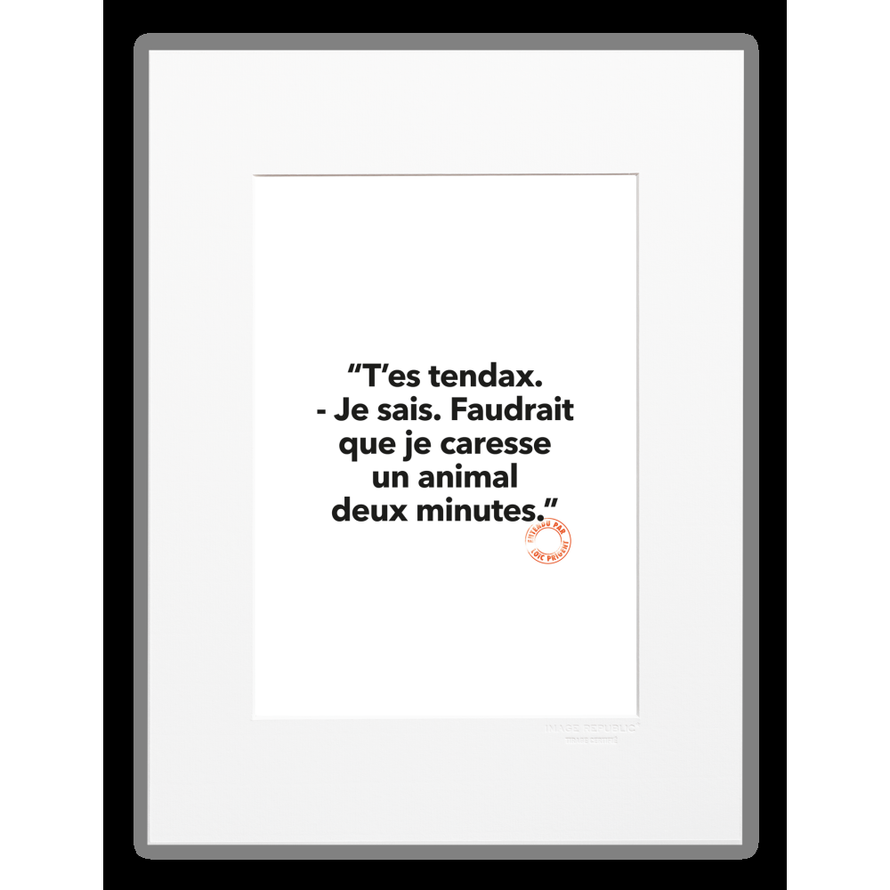 image republic 66 T'ES TENDAX