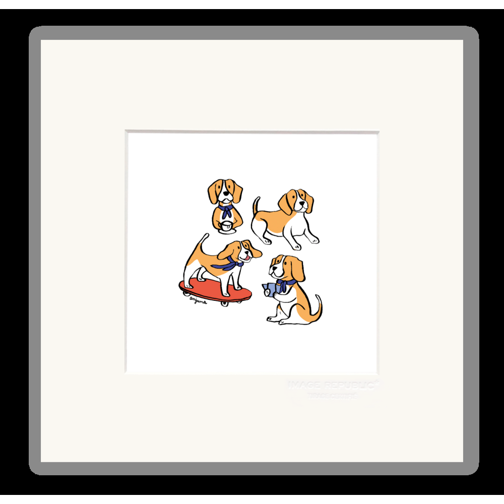 image republic BEAGLE