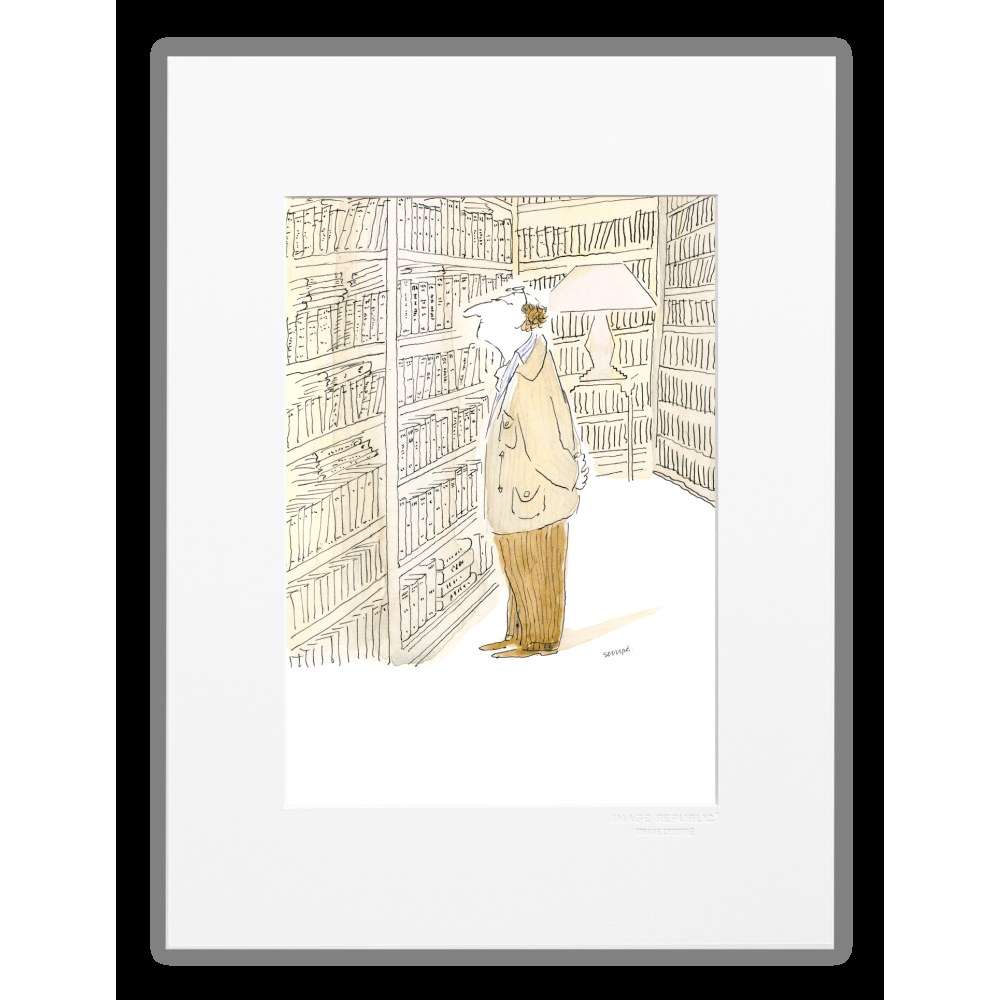 image republic BIBLIOTHEQUE