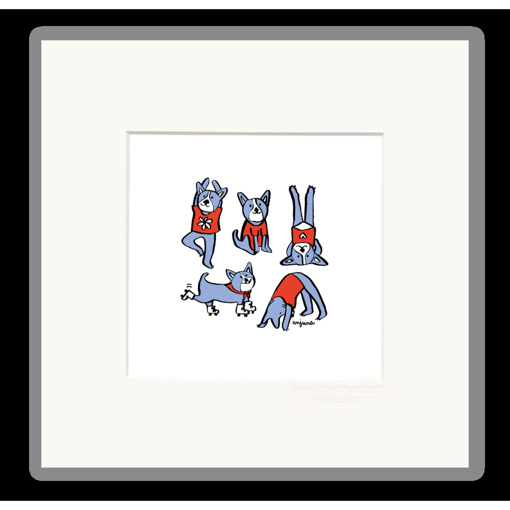 image republic BOULEDOGUE