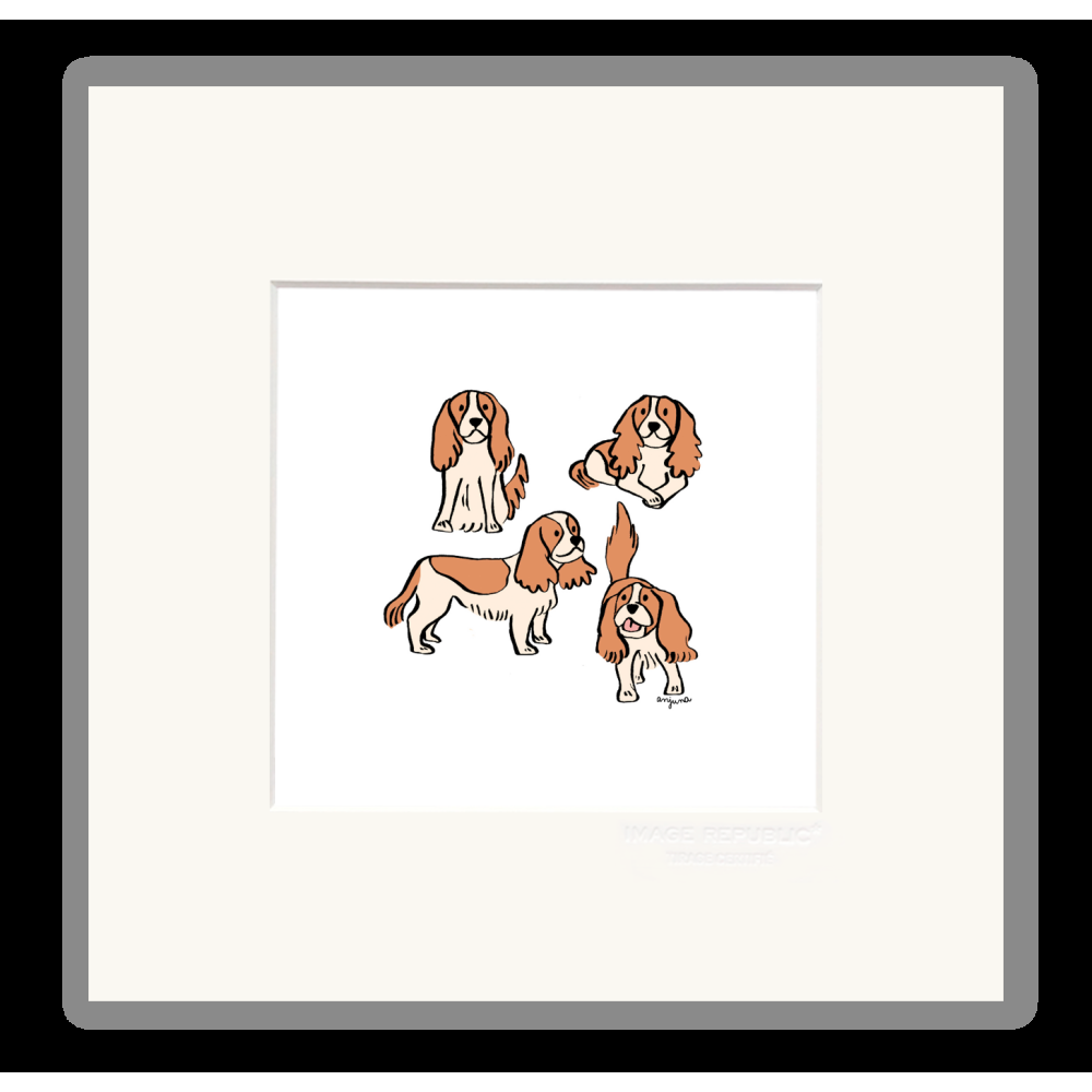 image republic CAVALIER