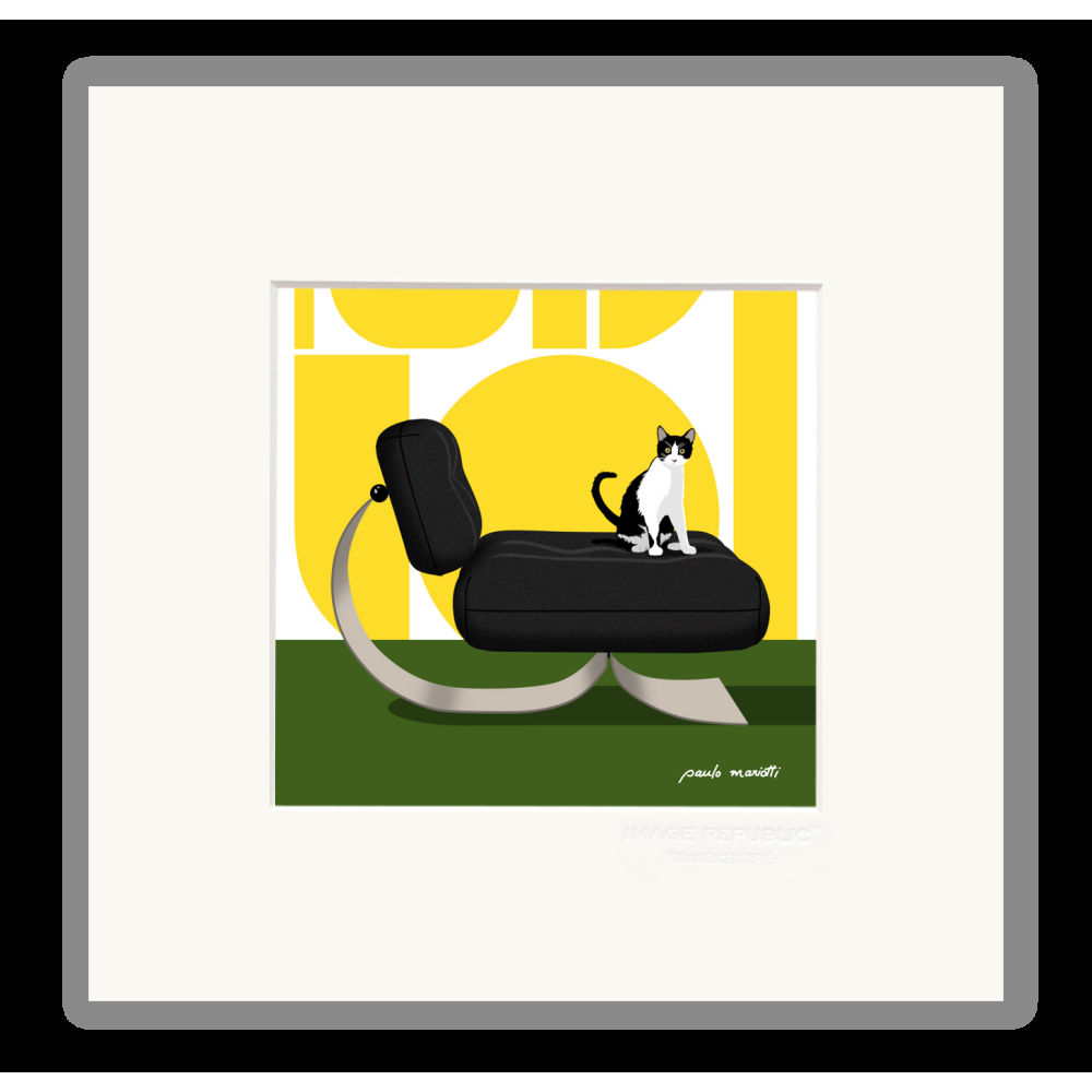 image republic CHAT VERT