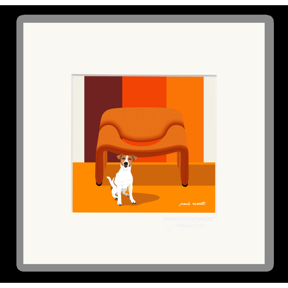 image republic CHIEN ORANGE