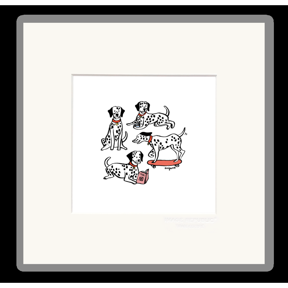 image republic DALMATIEN