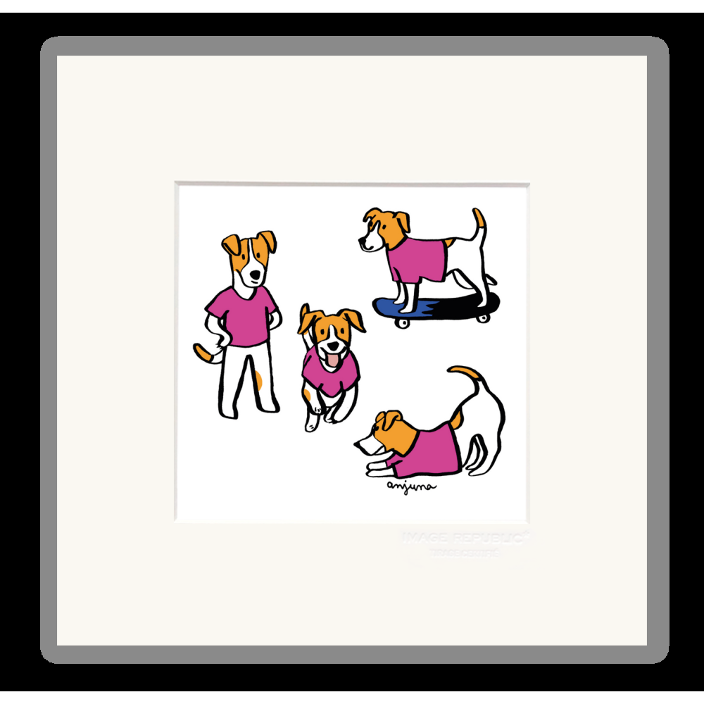 image republic JACK RUSSEL