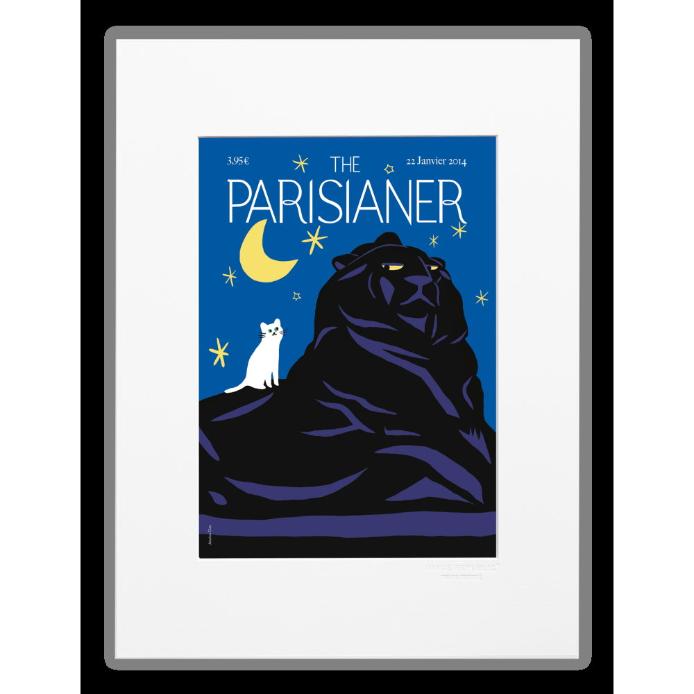 image republic N25 DAS