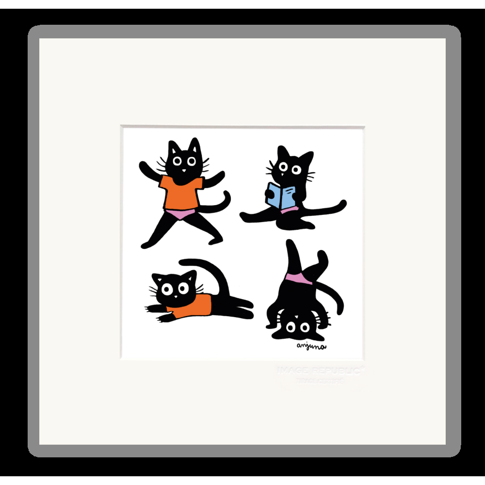 image republic NOIREAUDE