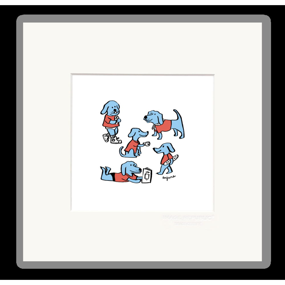 image republic PITIT