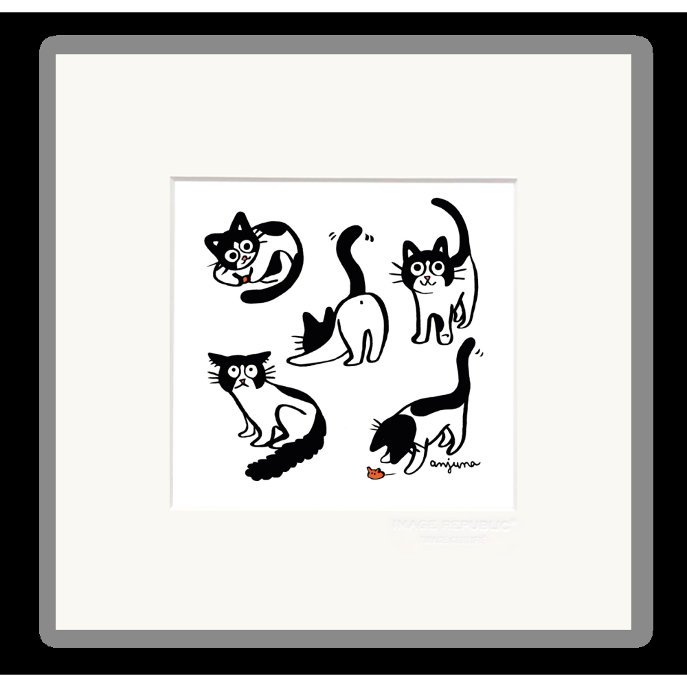 image republic REGINE