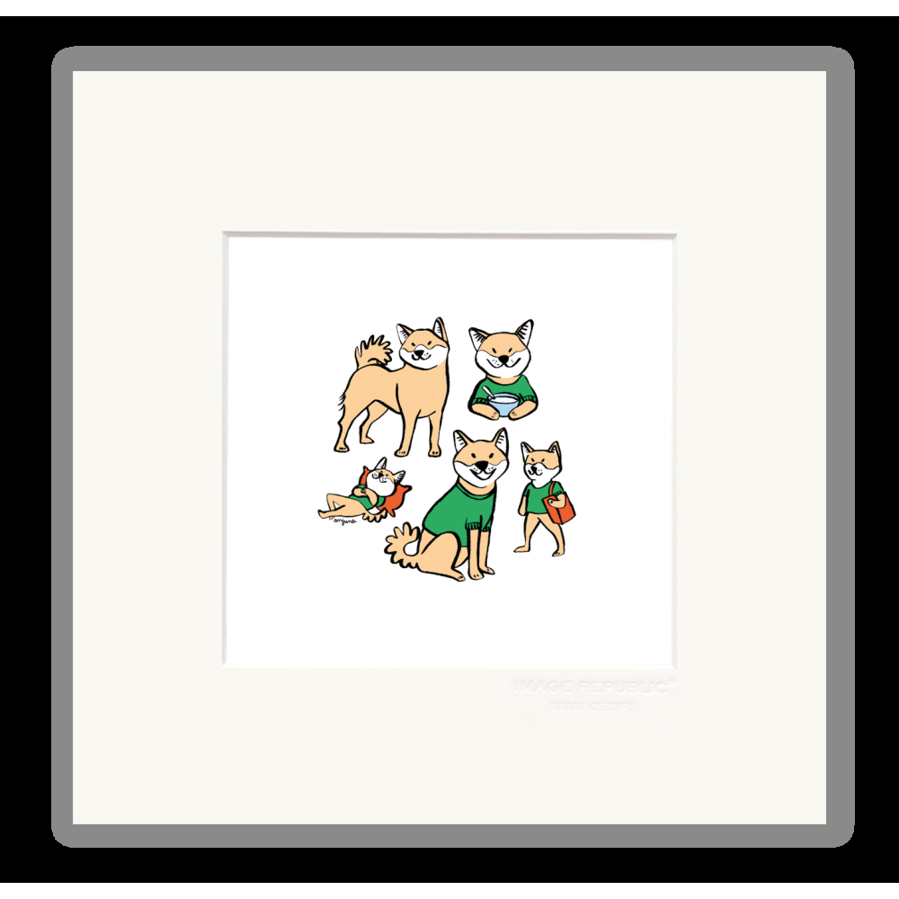 image republic SHIBA