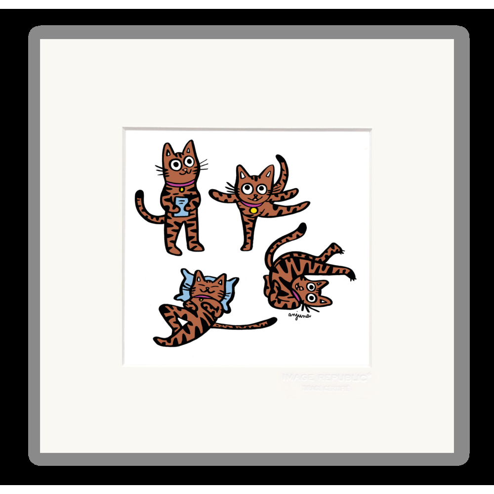 image republic TIGRI