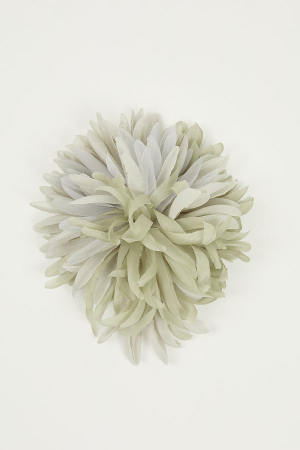 indress Nicole Almond