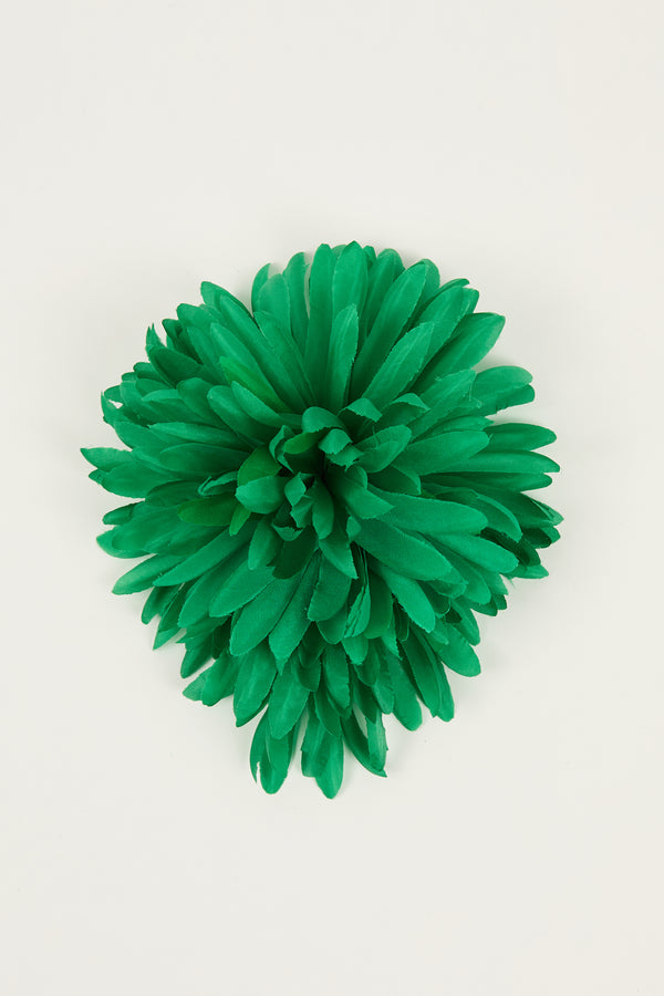 indress Nicole Green