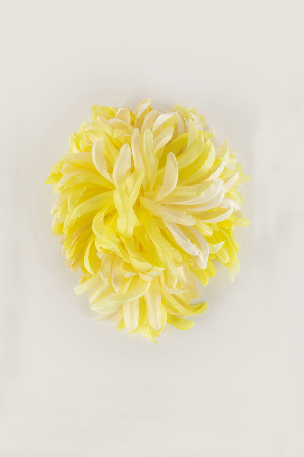 indress Nicole Lemon