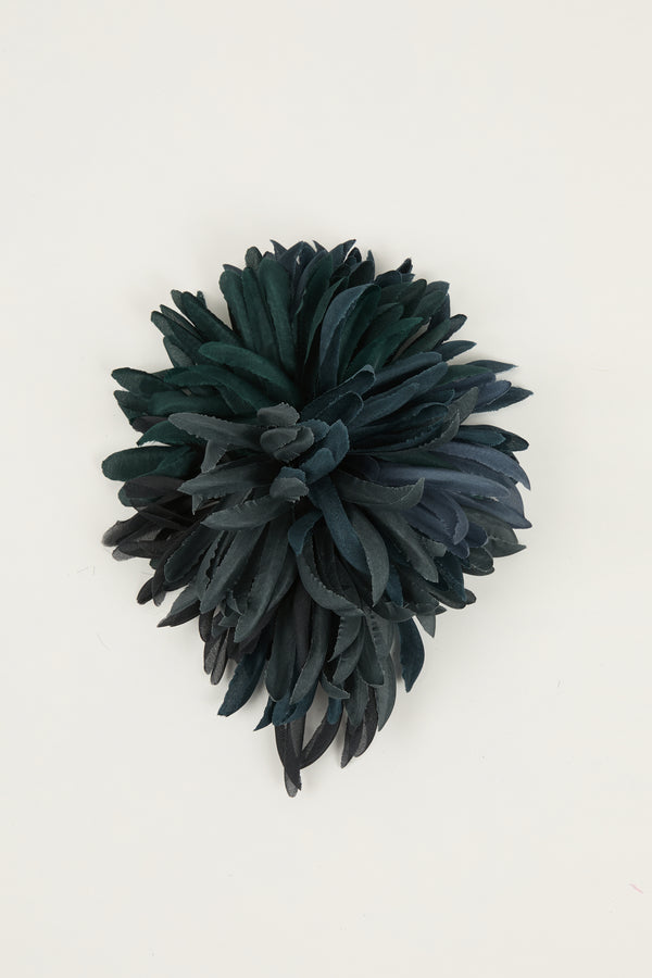 indress Nicole Slate