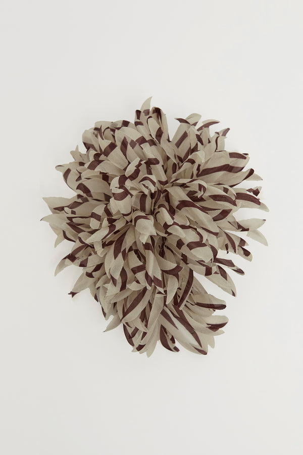 indress Nicole Striped Ecru / Brown