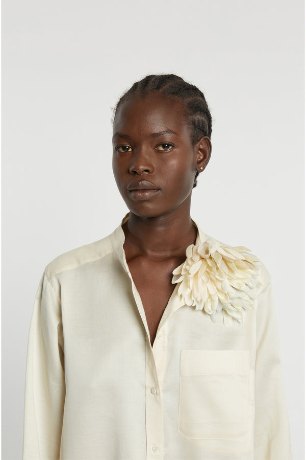 indress Robert Ivory