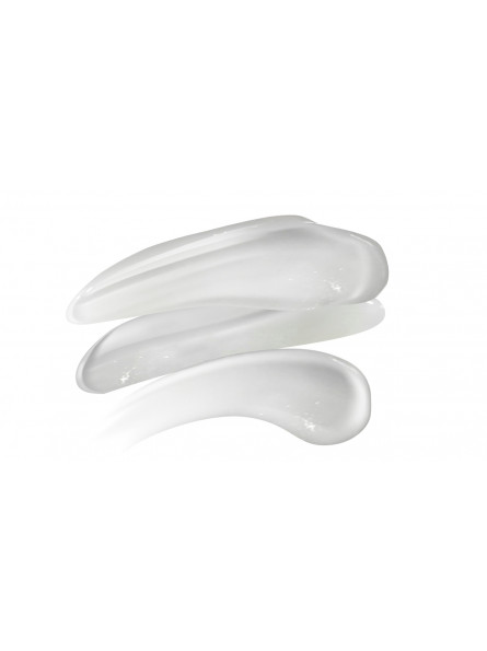 Institut Karité Paris Fluide Jour Karité - Peaux Normales à Mixtes 50 Ml - Crème De Lait